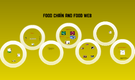 Food Chains and Food Webs by julie sippola on Prezi