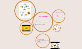 LIFE CYCLE OF MAMMALS by cis year 5 on Prezi