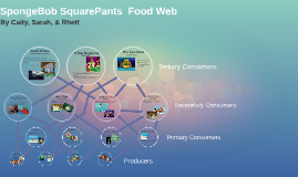 SpongeBob SquarePants Food Web by Caitlin Bevers on Prezi