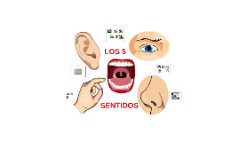 LOS 5 SENTIDOS CON MAPAS MENTALES by Mar on Prezi