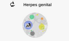 viagra in healthy men viagra in healthy men