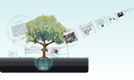 Derechos de Cuarta Generacion by camila reyes on Prezi Derechos de Cuarta Generacion by camila reyes on Prezi