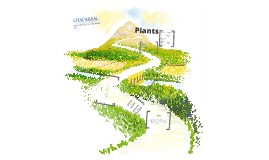 Science homework help on biomes in washington state