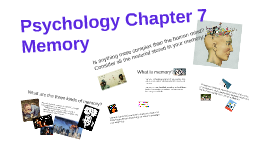 chapter 7 memory psychology