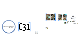 Copy of Maquetes - Trincheiras de guerra Copy of Maquetes - Trincheiras de guerra