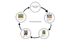 Ciclo De Vida De Un Leon by Alejandra Caycedo Yate on Prezi