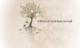 effect of acid rain on soil pdf