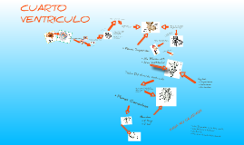 CUARTO VENTRICULO :) by Emma Kleen on Prezi CUARTO VENTRICULO :) by Emma Kleen on Prezi