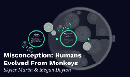 The tired swimmer: a case study part 1 answers image