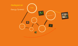 Madagascar food web by Courtney Slavic on Prezi