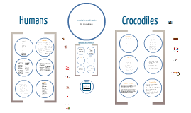 Comparing Humans and Crocodiles by Ian Cullings on Prezi