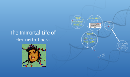 the immortal of henrietta lacks book report the immortal of henrietta lacks by j i on prezi the immortal of henrietta lacks book report the immortal of henrietta lacks by j i on prezi