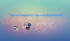 Human Impact on Global Biodiversity by Amanda Yang on Prezi