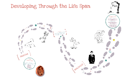 Module 4: Developing Through the Life Span