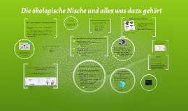die kologische nische und alles was dazu gehrt by carlotta manzke on prezi - Okologische Nische Beispiel die kologische nische und alles was dazu gehrt by carlotta manzke on prezi - Okologische Nische Beispiel