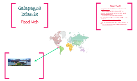 Food Web: Galapagos Island by Kelly Lyn on Prezi