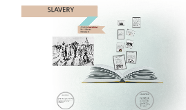 Red Panda Food Chain Diagram