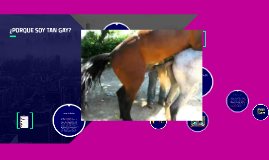 PENES NEGROS DE CABALLOS by Mateo Mazuera on Prezi