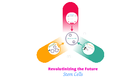 support stem cell research essay support stem cell research essay