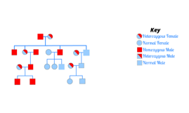 Hemophilia Pedigree Chart by Sean Powers on Prezi