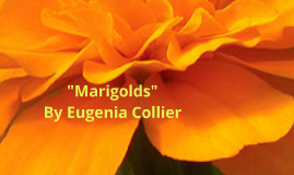 Plot Diagram For Marigolds By Eugenia Collier