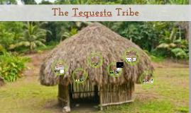 The Tequesta Tribe by: Ethan, Ariel, and Ariella by Tequestas Tribe on ...