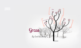Carl Sandburgs Use of Allusion in Grass