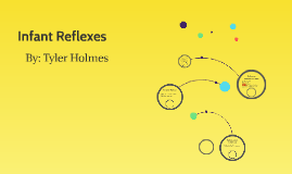 Neck and Body Righting Reflex by Tyler Holmes on Prezi