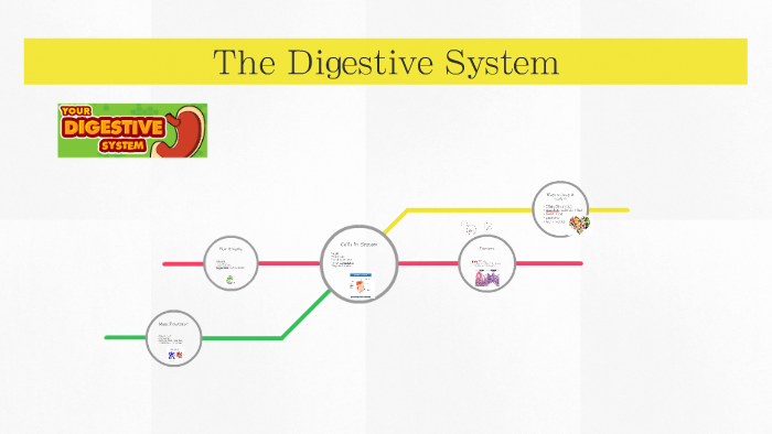 The Digestive System by Hannah Yasin on Prezi