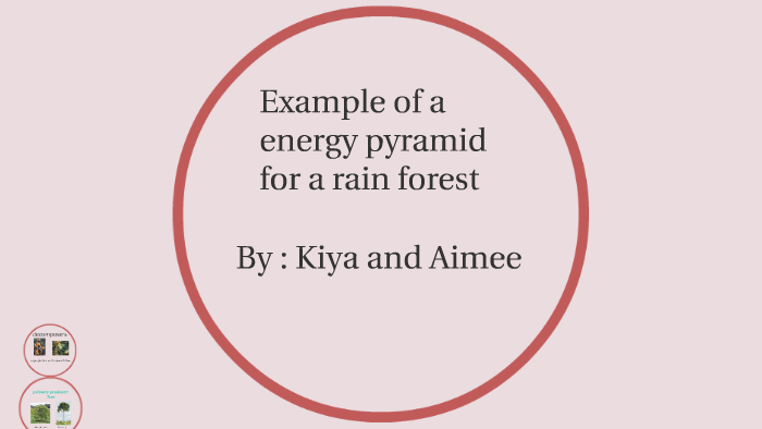 primary producer: Tree by Aimee Mckey on Prezi