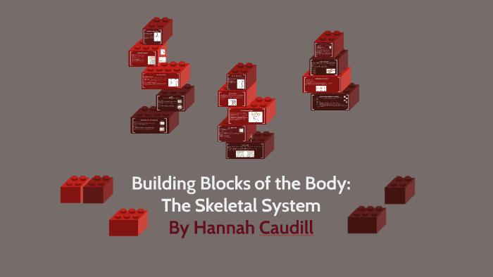 Building Blocks of the Body: The Skeletal System by Hannah Caudill on Prezi