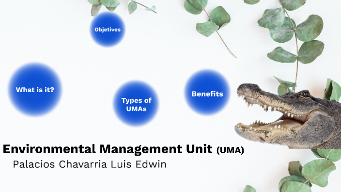 Environmental Management Unit by Luis Edwin Palacios Chavarria on Prezi