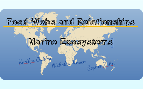 Food Webs And Relationships In Marine Ecosystems By Nicholas Jensen