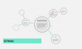 nucleus ppt presentation download