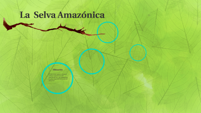 La Selva Amazonica by Luis Alfonso Gonzalez Batista on Prezi