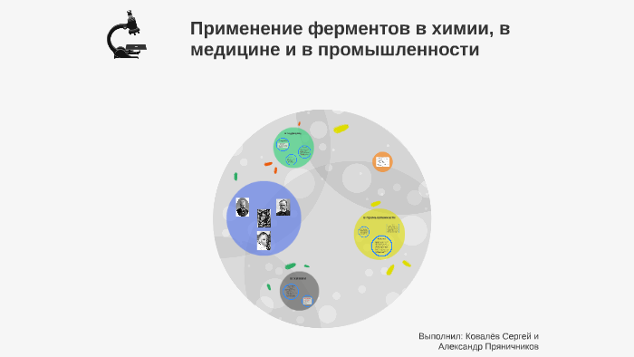 Проект по химии на тему ферменты