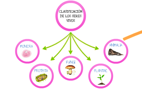 CLASIFICACIÓN DE LOS SERES VIVOS POR REINOS by maria grañen on Prezi