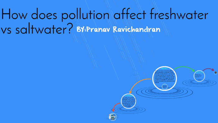 how-does-pollution-affect-freshwater-vs-saltwater-by-pranav