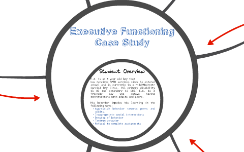 executive function case study