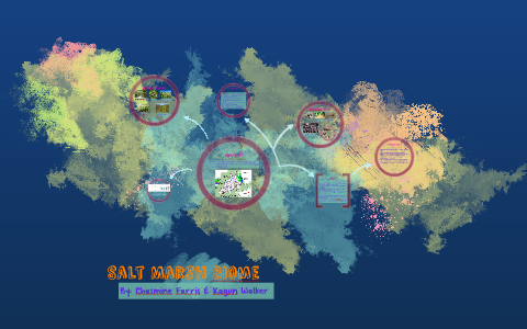 Salt Marsh Biome by chasmine farris on Prezi