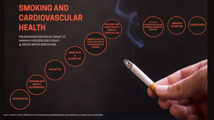 colorado cigarette tax increase Let's Just Vote: Colorado will decide on Prop. EE