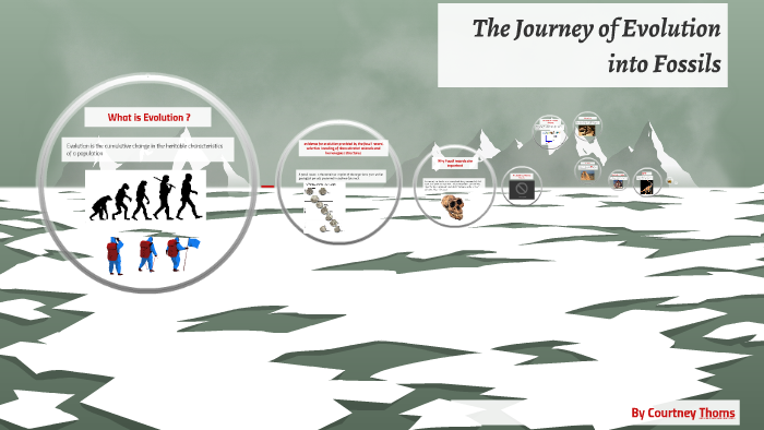 The Journey of Evolution by Courtney Thoms on Prezi