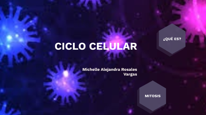 CICLO CELULAR by Michelle Alejandra Rosales Vargas on Prezi