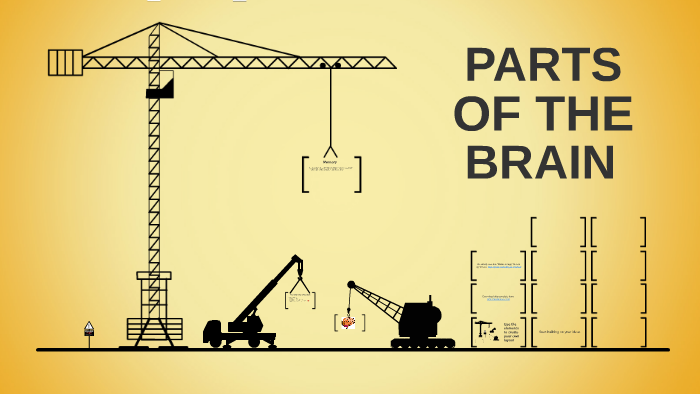 The Parts of the Brain by Tom Shanahan on Prezi