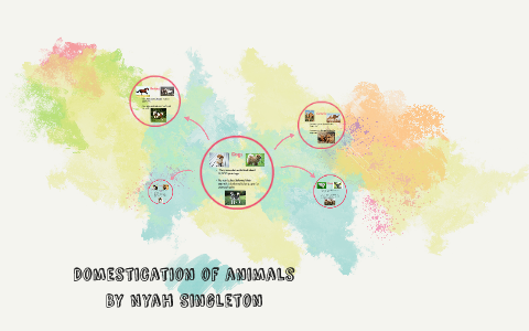Domestication of animals by Peter DiLalla on Prezi