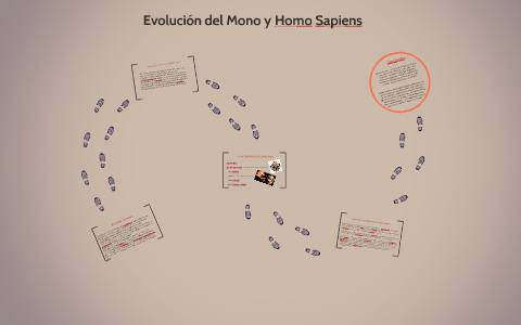 Evolución del Mono y Homo Sapiens by joss mendoza
