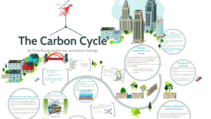 The Carbon Cycle by Christa Bryant on Prezi
