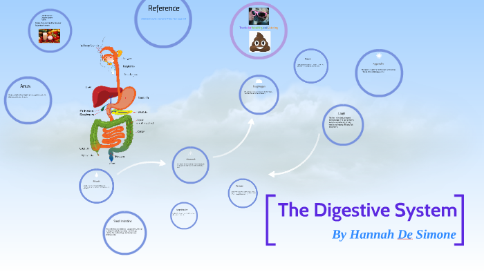 The Digestive System by Hannah desimone on Prezi