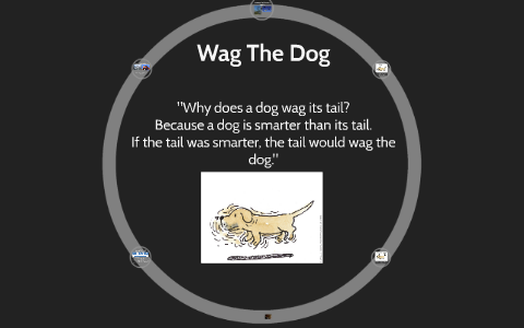 why does a dog wag its tail