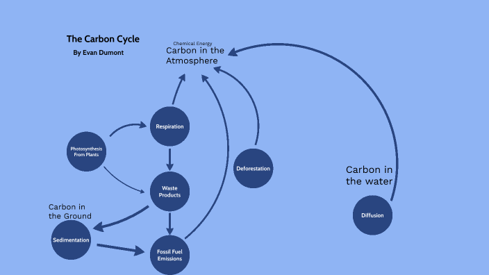 The Carbon Cycle by Evan Dumont on Prezi